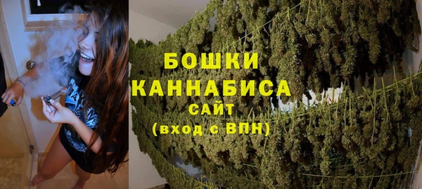 гидра Лагань