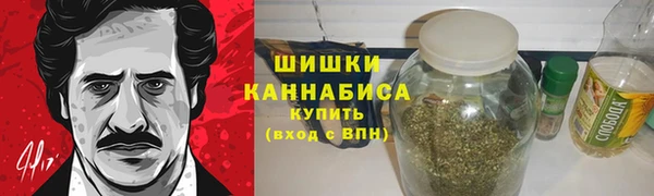гидра Лагань