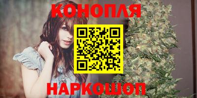 стафф Аргун