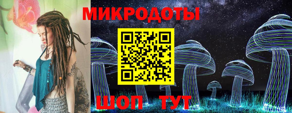 Галлюциногенные грибы Psilocybine cubensis  Нерюнгри 